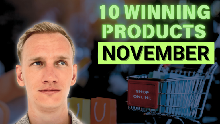 10 Winning Dropshipping Products November 2024