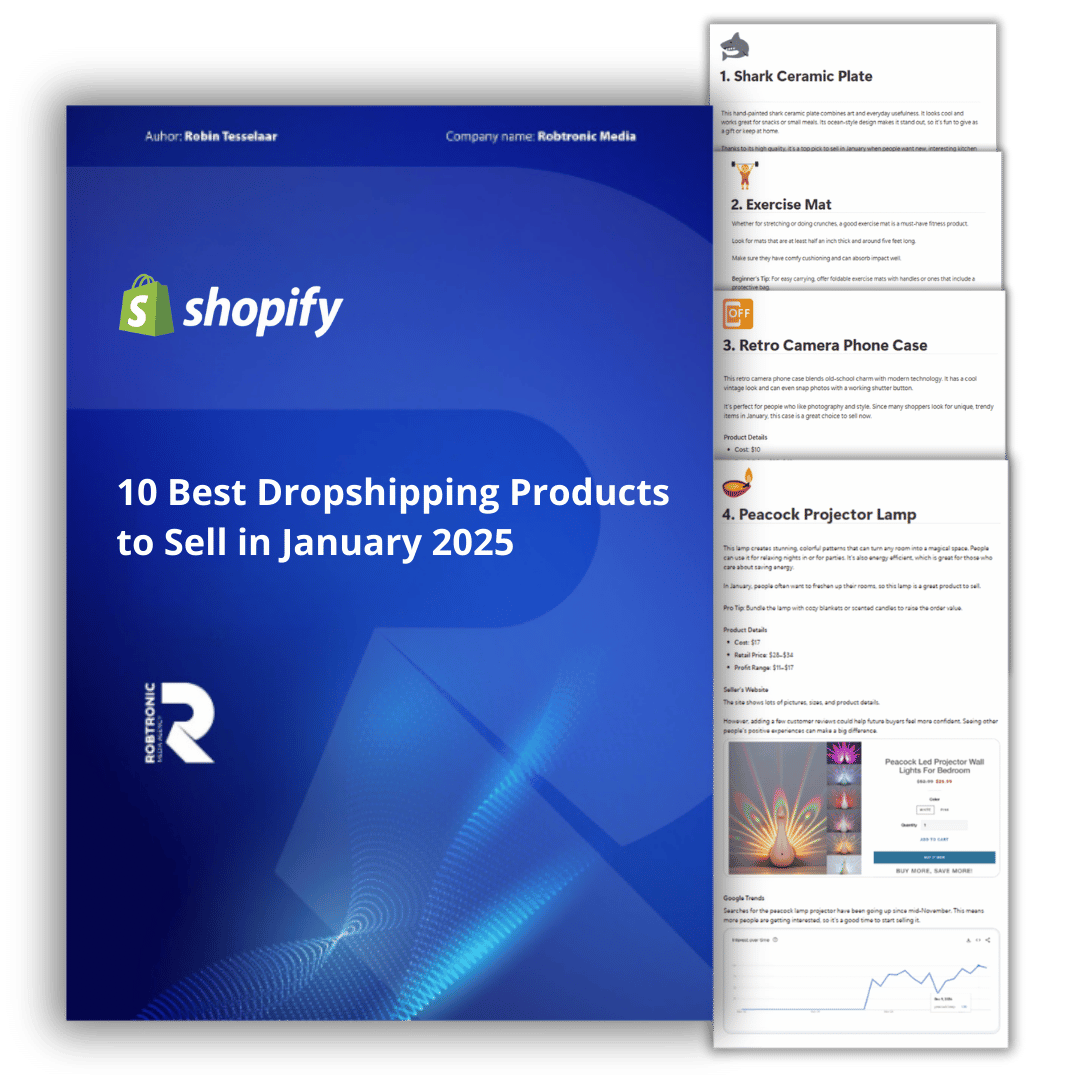 10 Best Dropshipping Products to Sell in January 2025